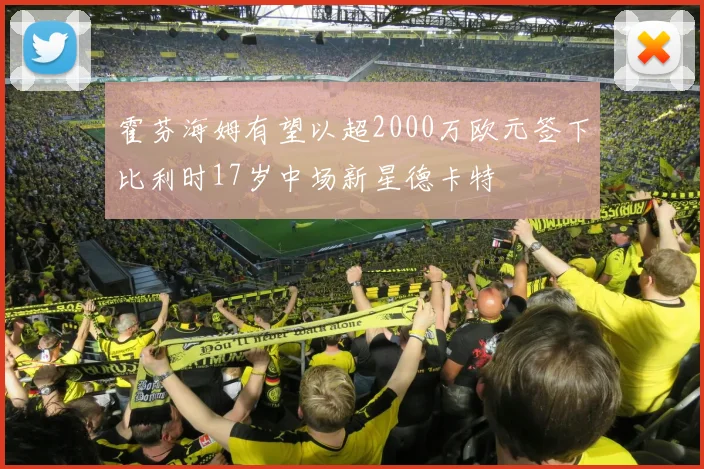 霍芬海姆有望以超2000万欧元签下比利时17岁中场新星德卡特