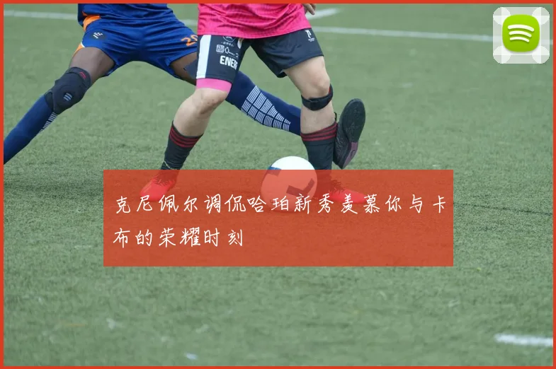 克尼佩尔调侃哈珀新秀羡慕你与卡布的荣耀时刻